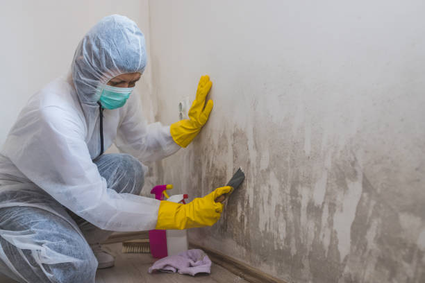 Forensic Mold Investigation in Orchard Homes, MT