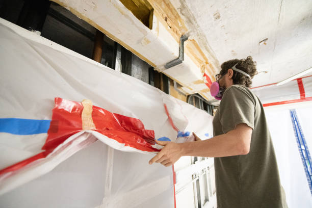 Best Attic Mold Removal  in Orchard Homes, MT